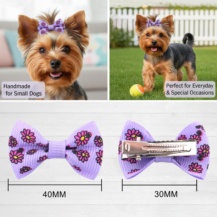 QingHan Dog Hair Bows Small Puppy Clips for Pet Grooming Accessories Doggy Gifts 60Pcs (30 Pairs)