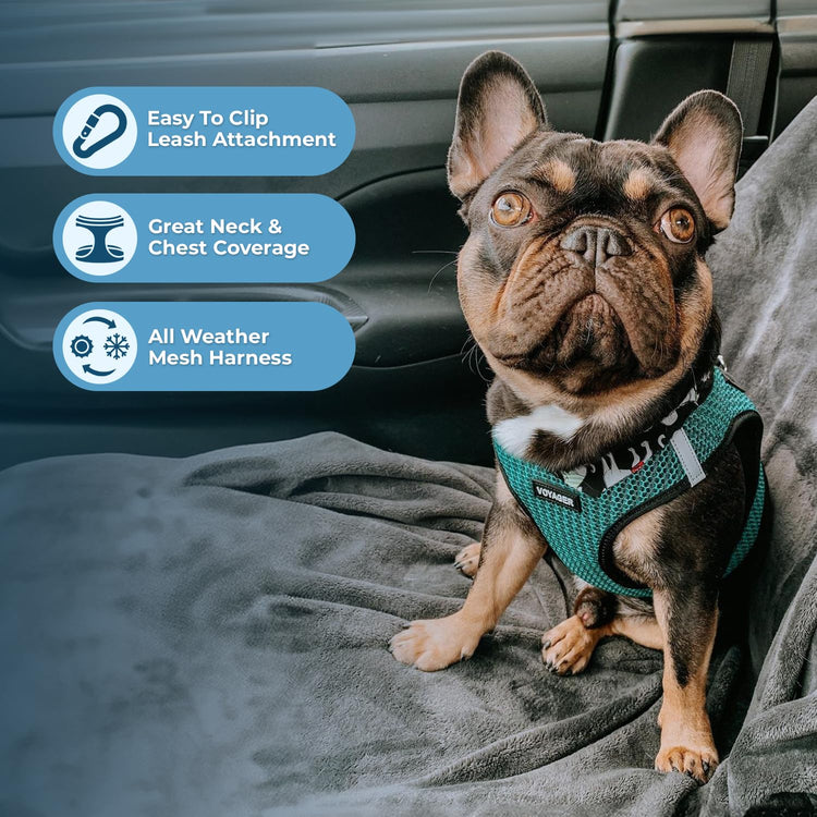 Best Pet Supplies - All Weather Mesh / Plush, Reflective, No Pull Harness for Small, Medium Dogs, Cats - Secure with Hook & Loop Fastener, Buckle, Double D-Rings - Baby Blue/Black Trim, XL