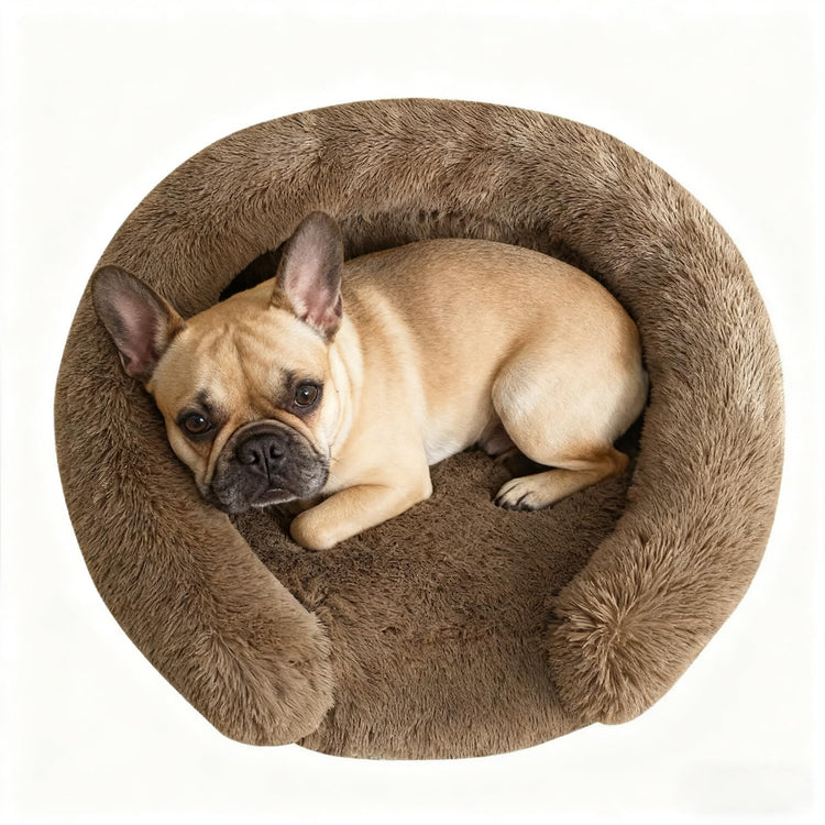 Orthopedic Dog Bed with Egg-Crate Base, Calming Dog & Cat Beds Long Plush with Raised Edges, Spine Friendly Pet Sleeping Mat for Small Medium Dogs, Machine Washable (Oval, Beige 26"x20")