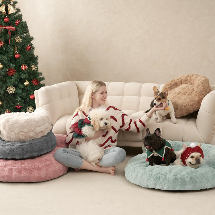 EHEYCIGA Soft Cat Couch Bed for Indoor Cats, Fluffy Small Dog Bed with Removable Washable Cover, Bolster Pet Sofa, Waterproof and Non-Slip, 23" x 23"x 7", Cream