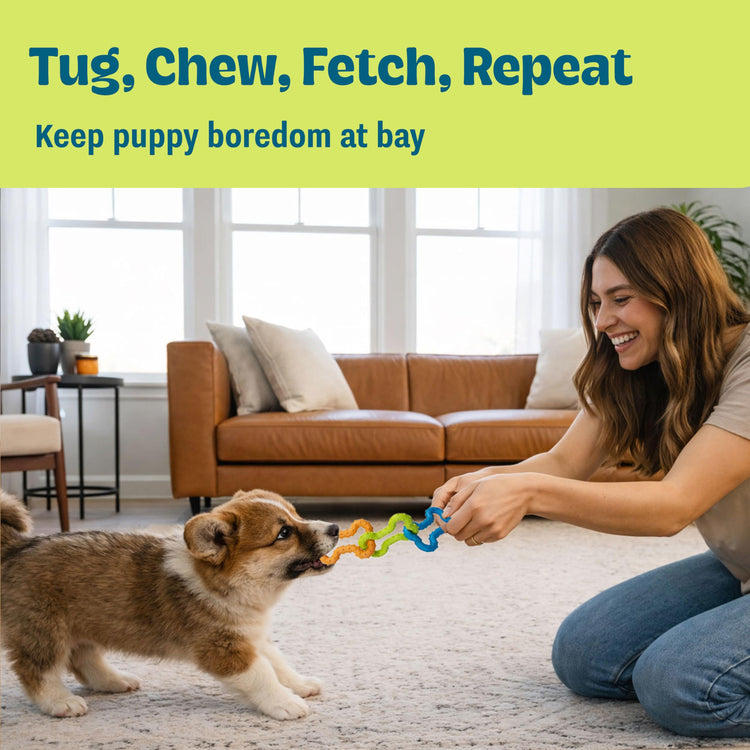 Cutie Chewies Hedgehog Dental Dog Chew Toy — Multi-Textured, Massages Gums, Floats & Bounces for Teething Puppies & Small Dogs, 5" x 3.5" x 1"