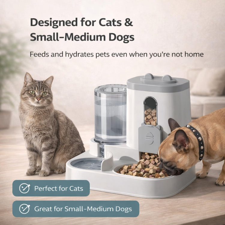 Automatic Dog Cat Feeder – 2-in-1 Cat Food and Water Bowl Set & Dog Food and Water Bowl Set, 800ml + 2.2L Gray