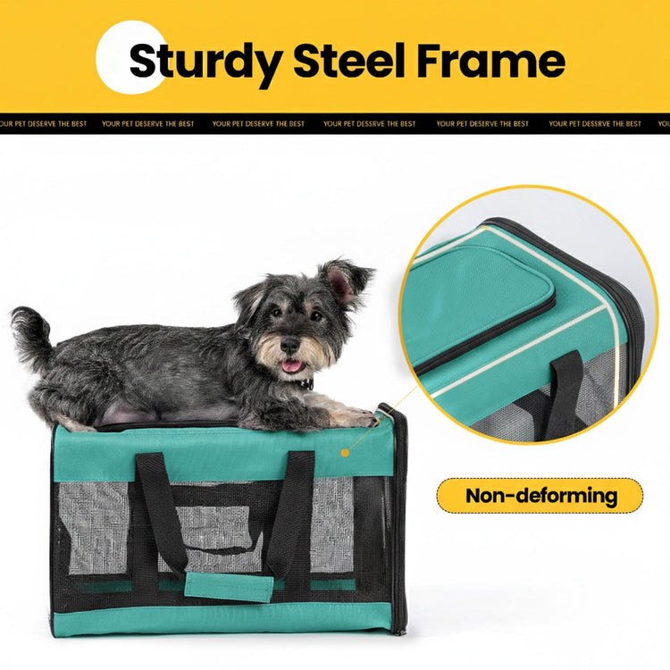 Conlun Cat Carrier Airline Approved, Soft-Sided Dog Carrier with Inner Safety Leash, Pet Transport Carrier for Small-Medium Cats Puppies up to 15 Lbs, Collapsible Travel Kitten Carrier Bag -BlackM
