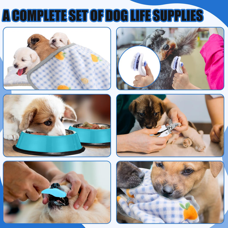 Abbylike 50 Pcs Puppy Supplies Starter Kit for Small Dogs Puppy Essentials Includes Leash, Bowls, Teeth Brushes, Water Bottle, and More Accessories for Dogs Pet Day Welcome Gift(Purple)