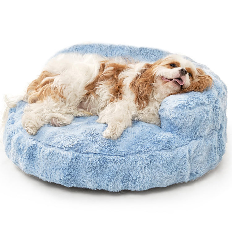 EHEYCIGA Soft Cat Couch Bed for Indoor Cats, Fluffy Small Dog Bed with Removable Washable Cover, Bolster Pet Sofa, Waterproof and Non-Slip, 23" x 23"x 7", Cream