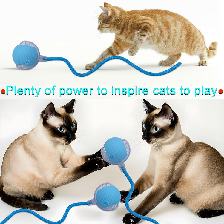 Interactive Cat Dog Toy Ball: Indoor Small Automatic Moving Smart Rolling Fun Pet Game with Led Light and String Tail for Motion Activated, Cute Kitten Puppy Present, Exercise Wheel Supplies (Yellow)