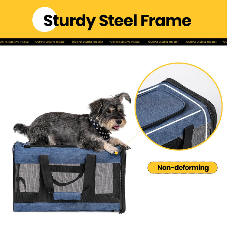Conlun Cat Carrier Airline Approved, Soft-Sided Dog Carrier with Inner Safety Leash, Pet Transport Carrier for Small-Medium Cats Puppies up to 15 Lbs, Collapsible Travel Kitten Carrier Bag -BlackM