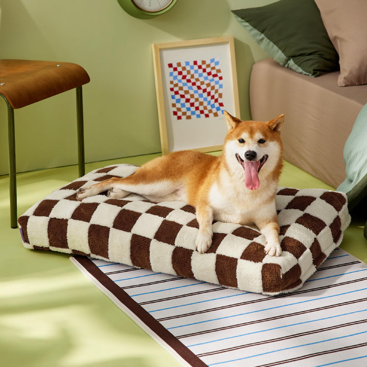 LE SURE Dog Beds Medium Size-Thick Shredded Chopped Foam Pet Bed as Gift for Indoor with Removable Cover, Cute Modern Fuzzy Plush & Anti Slip Bottom, Green