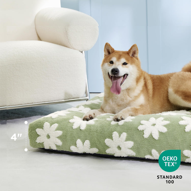 LE SURE Dog Beds Medium Size-Thick Shredded Chopped Foam Pet Bed as Gift for Indoor with Removable Cover, Cute Modern Fuzzy Plush & Anti Slip Bottom, Green