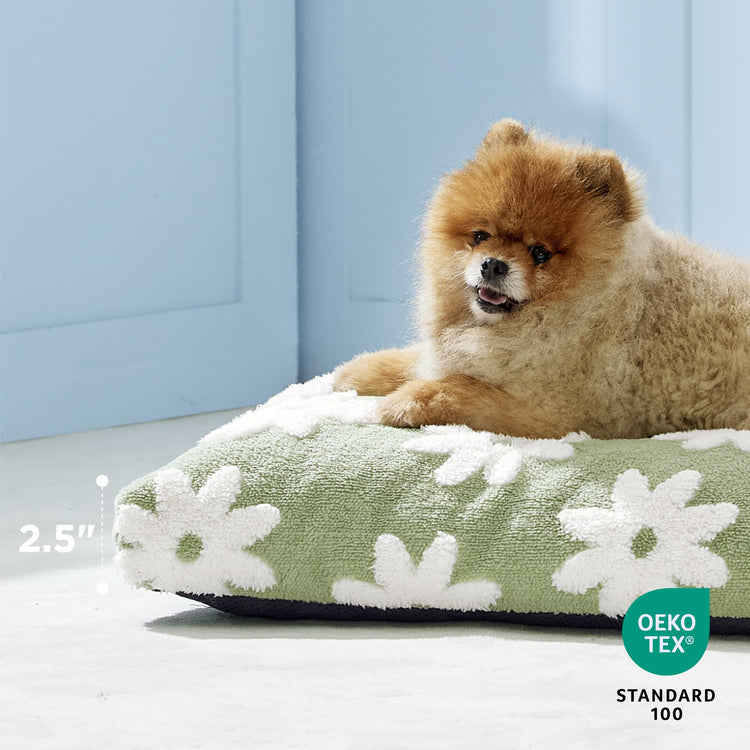 LE SURE Dog Beds Medium Size-Thick Shredded Chopped Foam Pet Bed as Gift for Indoor with Removable Cover, Cute Modern Fuzzy Plush & Anti Slip Bottom, Green