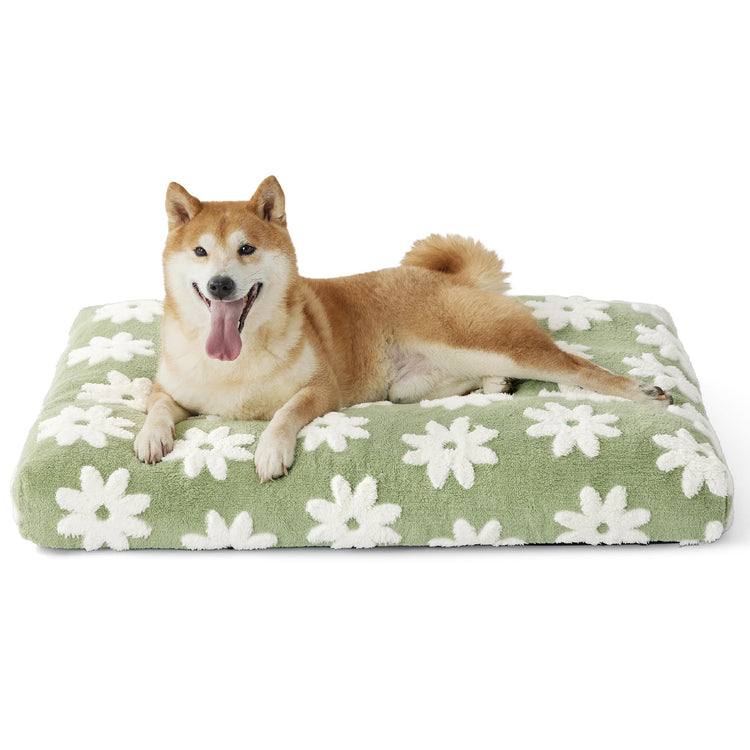 LE SURE Dog Beds Medium Size-Thick Shredded Chopped Foam Pet Bed as Gift for Indoor with Removable Cover, Cute Modern Fuzzy Plush & Anti Slip Bottom, Green