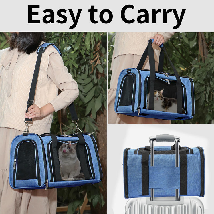 Soft-Sided Cat/Dog/Pet Carrier, Collapsible Pets Travel Carriers for Big Cats/Small Dogs with Shoulder Strap & Removable Mat, Mesh Puppy Carry Bag, Up to 16 Lbs, TSA Airline Approved(Black)