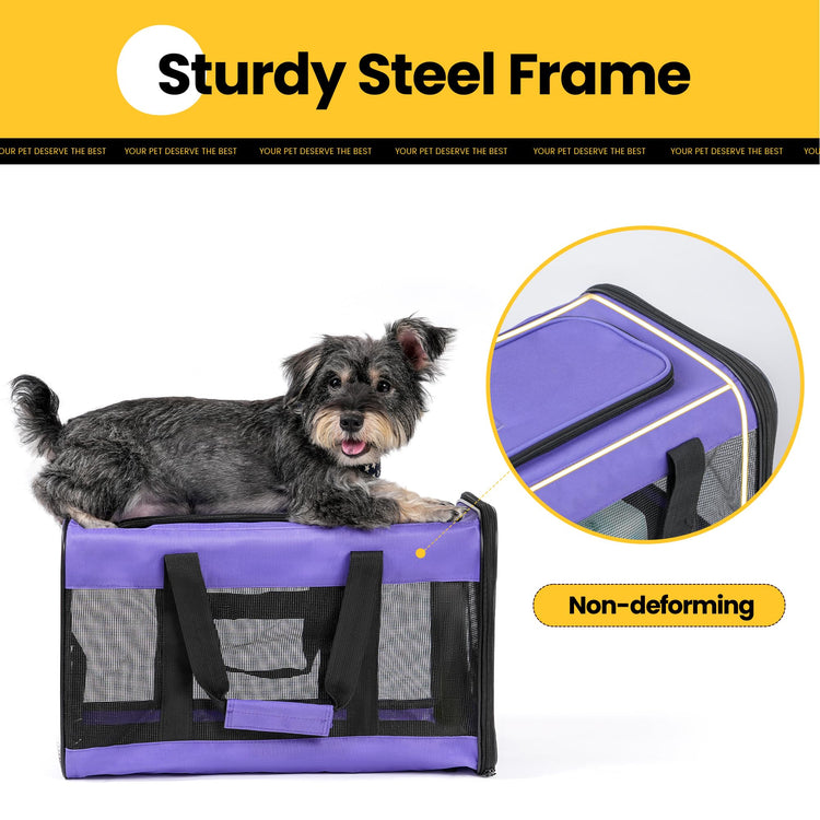 Conlun Cat Carrier Airline Approved, Soft-Sided Dog Carrier with Inner Safety Leash, Pet Transport Carrier for Small-Medium Cats Puppies up to 15 Lbs, Collapsible Travel Kitten Carrier Bag -BlackM