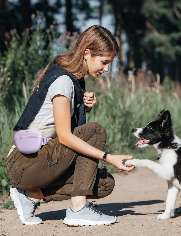 heouvo Dog Treat Pouch with Training Clicker, Upgrade Stronger Magnetic Closure to Avoid Spilling, 1.67 Cup Silicone Treat Bag Fanny Pack with Waist Belt for Pet Training Walking (Black)