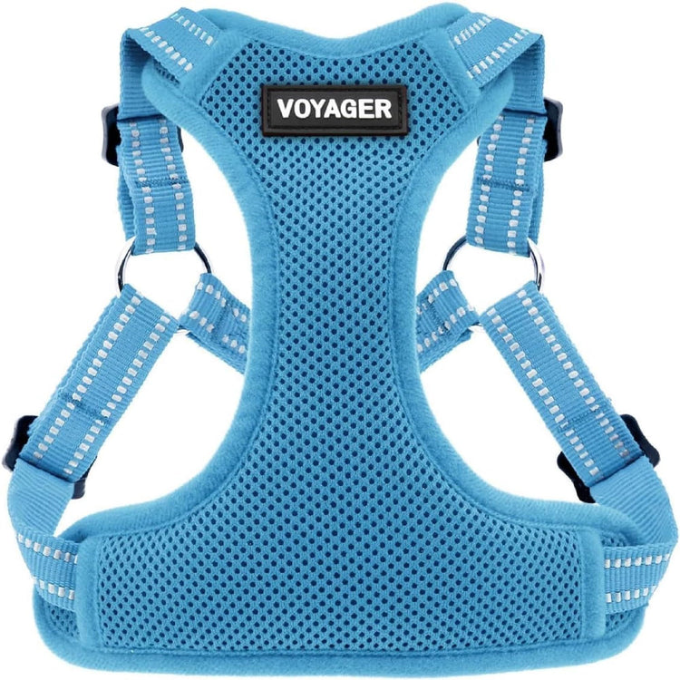 Best Pet Supplies Voyager Adjustable Step-in Flex Breathable Mesh Dog Harness for Small Medium Large Dogs Leash Set (Purple), M