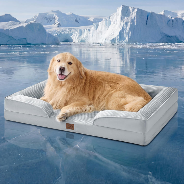 Bedsure Orthopedic Dog Bed Medium Size Dogs - Washable Small Medium Dog Cat Bed Waterproof, Comfort Cats Couch Sofa with Washable Removable Cover, Pets Bed with Nonskid Bottom, Grey, 28"