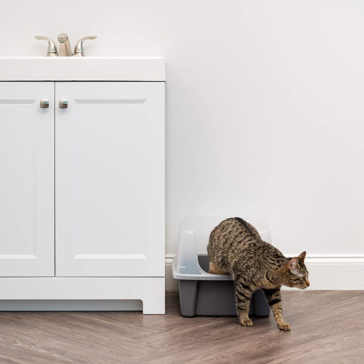 IRIS USA Cat Litter Box Large Open Top with High Sided Walls Tall Scatter Shield Scoop Included Easy Clean Plastic Pan Stain Resistant for Big Cats Kittens Indoor Multi-Cat Households