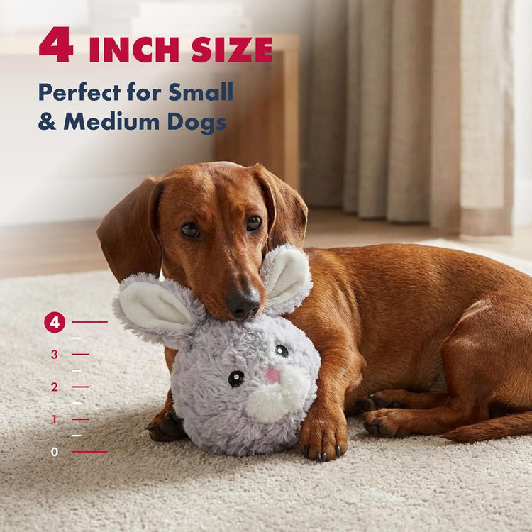 petlou Squeak Toys for Aggressive Chewers Small Medium Breed Chew Toys,Fetch Ball Indoor Ball Toys,Sqeaky Dog Toys (4" EZ Squeaky Rabbit)