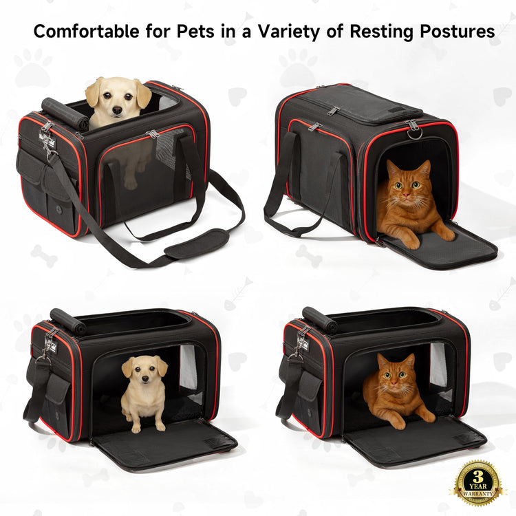 EliteField Soft-Sided Pet Carrier (3-Year Warranty, Airline Approved), Foldable Travel Bag with Removable Fleece Bed for Dogs, Cats & Small Pets, Scratch-Resistant Mesh