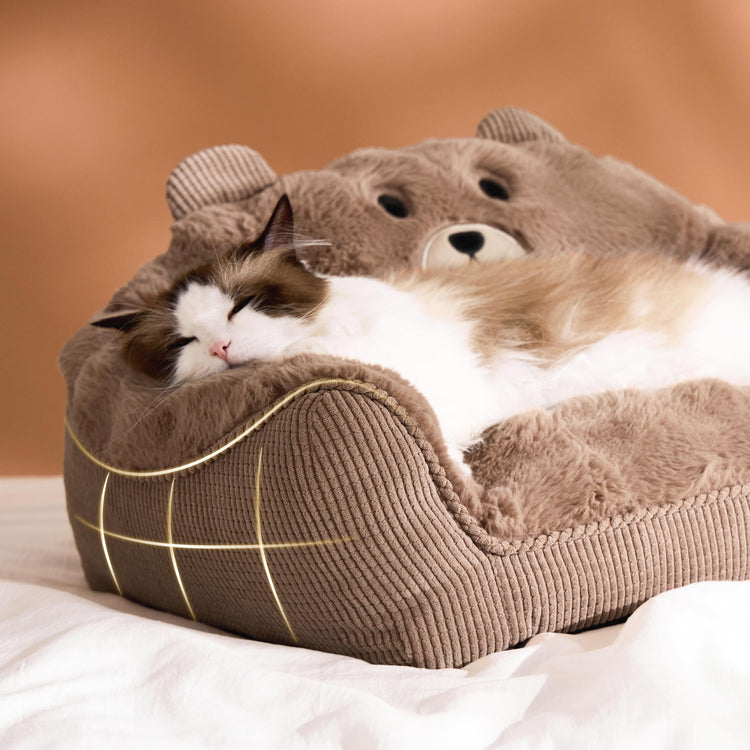LE SURE Cute Dog Couch Bed, Small Dog Couch with Fluffy Original Bear Design, Cat Couch Bed with Removable Washable Cover, Puppy Bed for Small Pets, 28 inch, Brown