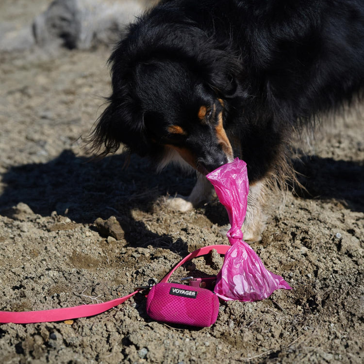 Best Pet Supplies Dog Poop Bags for Waste Refuse Cleanup, Doggy Roll Replacements for Outdoor Puppy Walking and Travel, Leak Proof and Tear Resistant, Thick Plastic - Assorted, 150 Bags