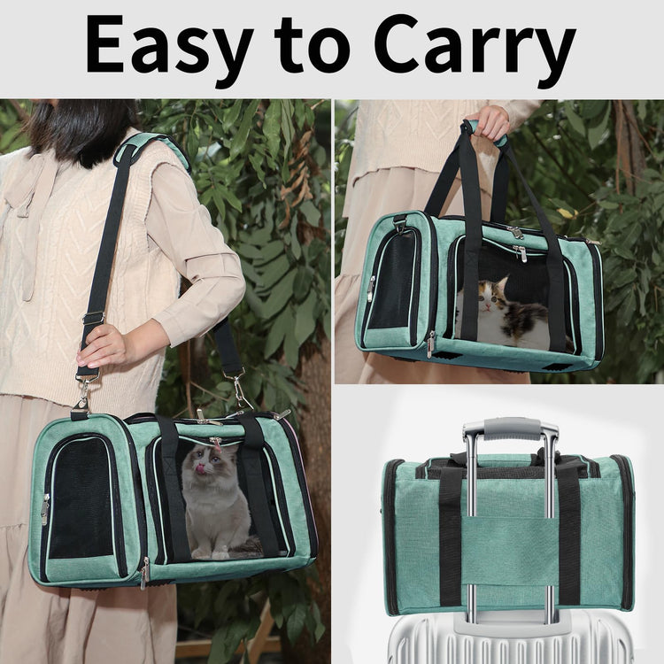 Soft-Sided Cat/Dog/Pet Carrier, Collapsible Pets Travel Carriers for Big Cats/Small Dogs with Shoulder Strap & Removable Mat, Mesh Puppy Carry Bag, Up to 16 Lbs, TSA Airline Approved(Black)