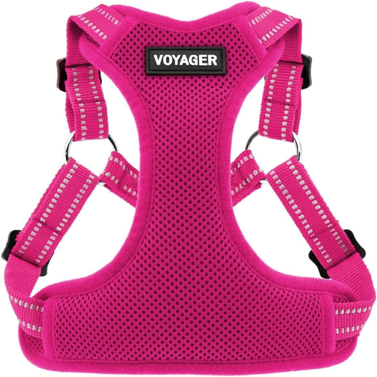 Best Pet Supplies Voyager Adjustable Step-in Flex Breathable Mesh Dog Harness for Small Medium Large Dogs Leash Set (Purple), M