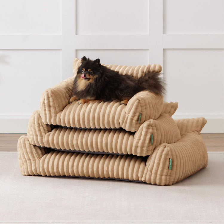 Cute Couch Bed for Pets, Supportive Cat Sofa for Indoor Cats, Small Dog Sofa Bed for Small Dogs, Grey, 24 inches