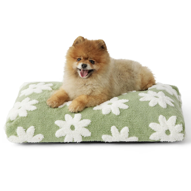 LE SURE Dog Beds Medium Size-Thick Shredded Chopped Foam Pet Bed as Gift for Indoor with Removable Cover, Cute Modern Fuzzy Plush & Anti Slip Bottom, Green