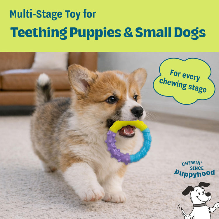 Cutie Chewies Hedgehog Dental Dog Chew Toy — Multi-Textured, Massages Gums, Floats & Bounces for Teething Puppies & Small Dogs, 5" x 3.5" x 1"