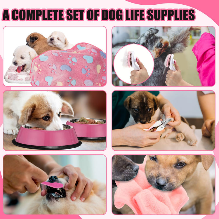 Abbylike 50 Pcs Puppy Supplies Starter Kit for Small Dogs Puppy Essentials Includes Leash, Bowls, Teeth Brushes, Water Bottle, and More Accessories for Dogs Pet Day Welcome Gift(Purple)