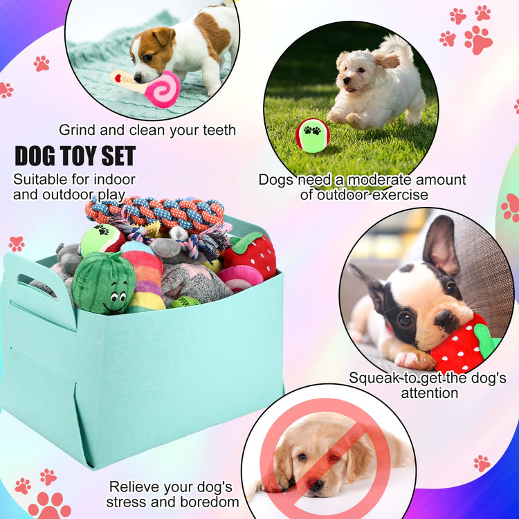 Abbylike 50 Pcs Puppy Supplies Starter Kit for Small Dogs Puppy Essentials Includes Leash, Bowls, Teeth Brushes, Water Bottle, and More Accessories for Dogs Pet Day Welcome Gift(Purple)