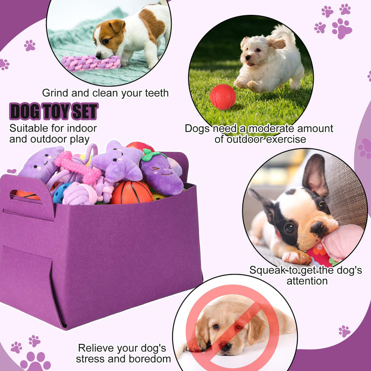 Abbylike 50 Pcs Puppy Supplies Starter Kit for Small Dogs Puppy Essentials Includes Leash, Bowls, Teeth Brushes, Water Bottle, and More Accessories for Dogs Pet Day Welcome Gift(Purple)
