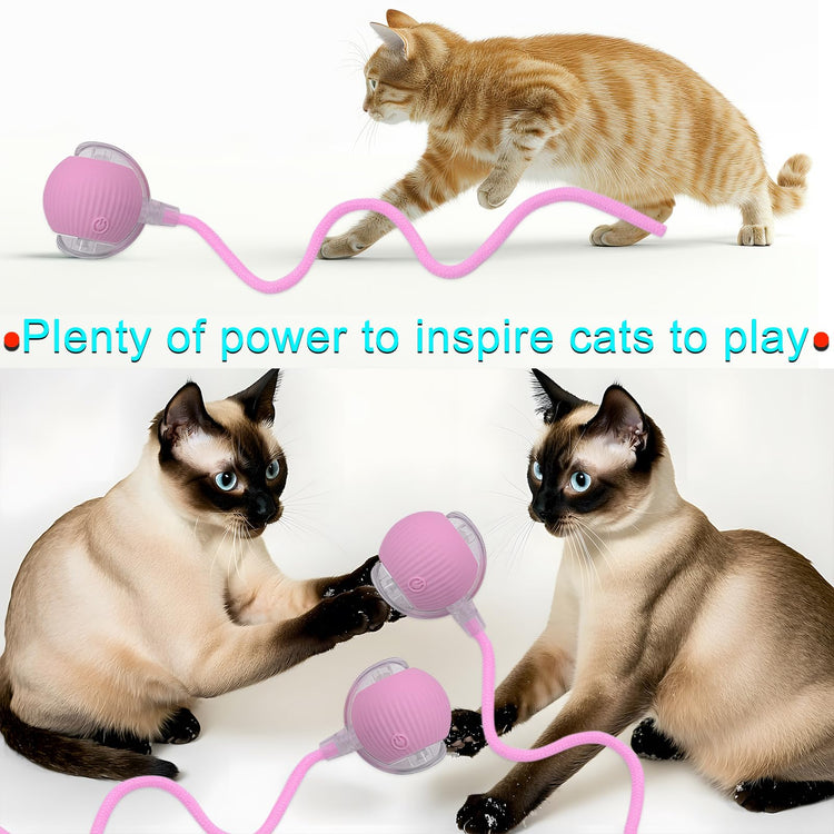 Interactive Cat Dog Toy Ball: Indoor Small Automatic Moving Smart Rolling Fun Pet Game with Led Light and String Tail for Motion Activated, Cute Kitten Puppy Present, Exercise Wheel Supplies (Yellow)
