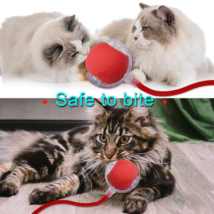 Interactive Cat Dog Toy Ball: Indoor Small Automatic Moving Smart Rolling Fun Pet Game with Led Light and String Tail for Motion Activated, Cute Kitten Puppy Present, Exercise Wheel Supplies (Yellow)