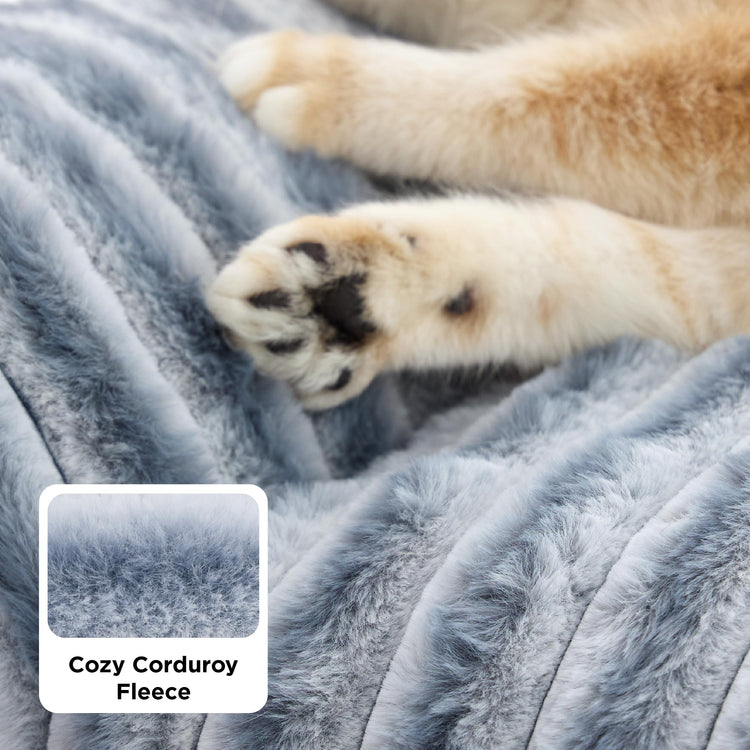 Bedsure ComfyFleece™ Cute Cat Couch for Pets - As Seen on TV on Good Day New York, Fluffy Cats beds for Indoor Cats with Removable Washable Cover, Supportive Pet Sofa, 24inch, Cream