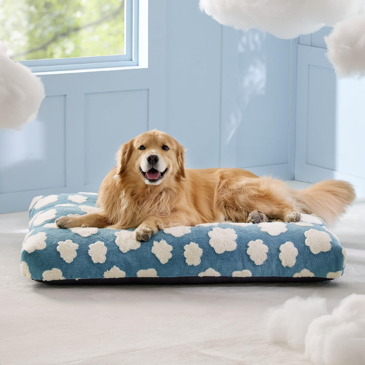 LE SURE Dog Beds Medium Size-Thick Shredded Chopped Foam Pet Bed as Gift for Indoor with Removable Cover, Cute Modern Fuzzy Plush & Anti Slip Bottom, Green