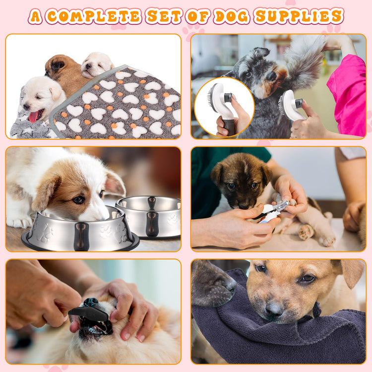 Abbylike 50 Pcs Puppy Supplies Starter Kit for Small Dogs Puppy Essentials Includes Leash, Bowls, Teeth Brushes, Water Bottle, and More Accessories for Dogs Pet Day Welcome Gift(Purple)