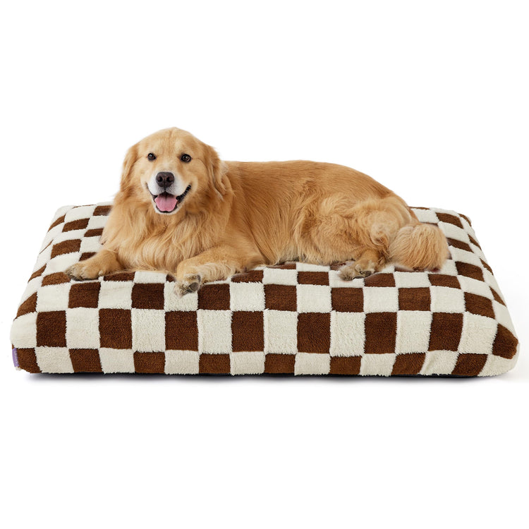 LE SURE Dog Beds Medium Size-Thick Shredded Chopped Foam Pet Bed as Gift for Indoor with Removable Cover, Cute Modern Fuzzy Plush & Anti Slip Bottom, Green
