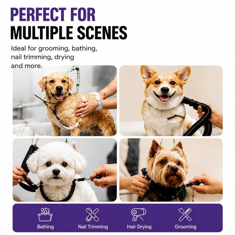 Dog Grooming Arm with Clamp, Adjustable Height 26"-40", Pet Grooming Table Arm with Hammock and No-Sit Holder, Dog Grooming Supplies for Small Medium Dogs, Grooming Restraint for Home or Salon