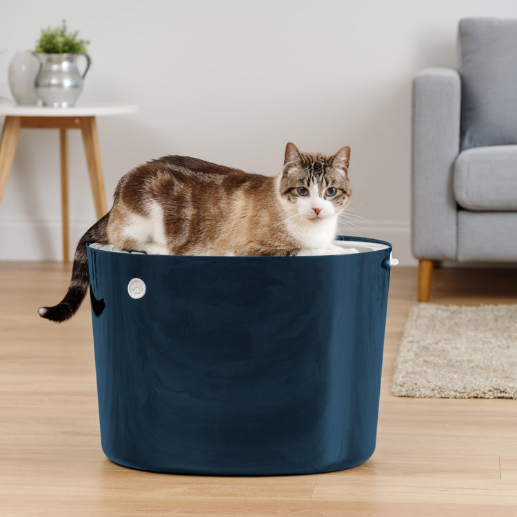 IRIS USA Cat Litter Box Large Open Top with High Sided Walls Tall Scatter Shield Scoop Included Easy Clean Plastic Pan Stain Resistant for Big Cats Kittens Indoor Multi-Cat Households