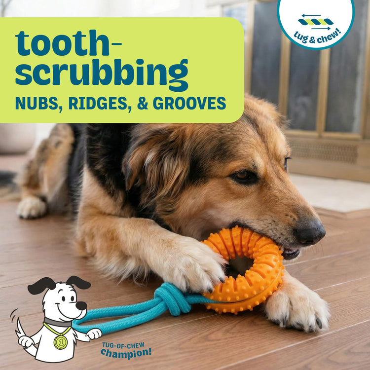 Cutie Chewies Hedgehog Dental Dog Chew Toy — Multi-Textured, Massages Gums, Floats & Bounces for Teething Puppies & Small Dogs, 5" x 3.5" x 1"