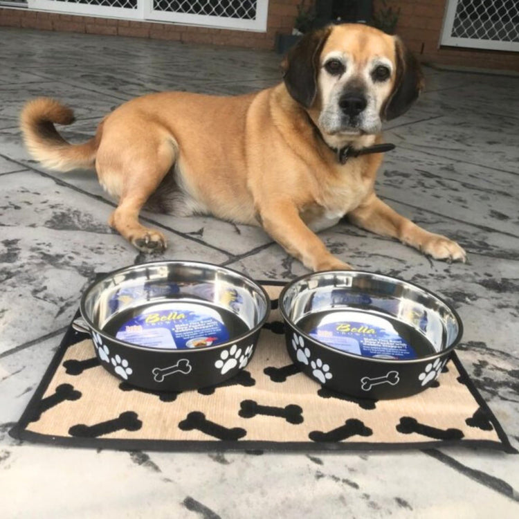 Loving Pets Bella Dog Bowls- Stainless Steel Dog & Cat Bowls - Spill Proof Dog Food Bowl, Cat Bowl, Puppy Essentials & Pet Supplies Great for Home & Travel (Medium 20-35 lbs, Blueberry)