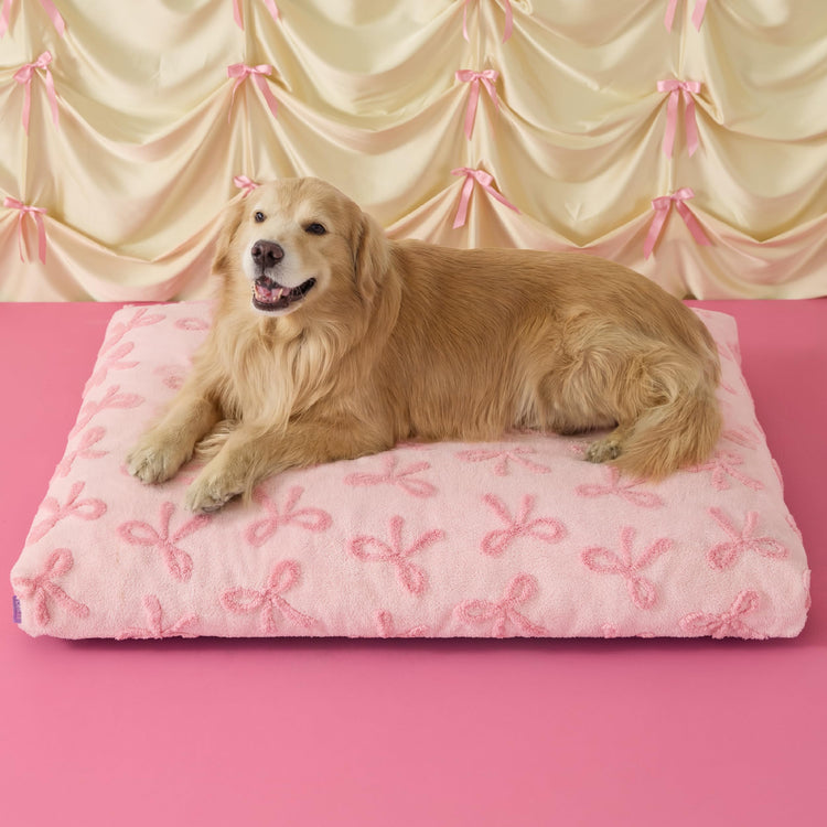 LE SURE Dog Beds Medium Size-Thick Shredded Chopped Foam Pet Bed as Gift for Indoor with Removable Cover, Cute Modern Fuzzy Plush & Anti Slip Bottom, Green