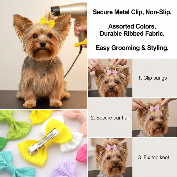 QingHan Dog Hair Bows Small Puppy Clips for Pet Grooming Accessories Doggy Gifts 60Pcs (30 Pairs)