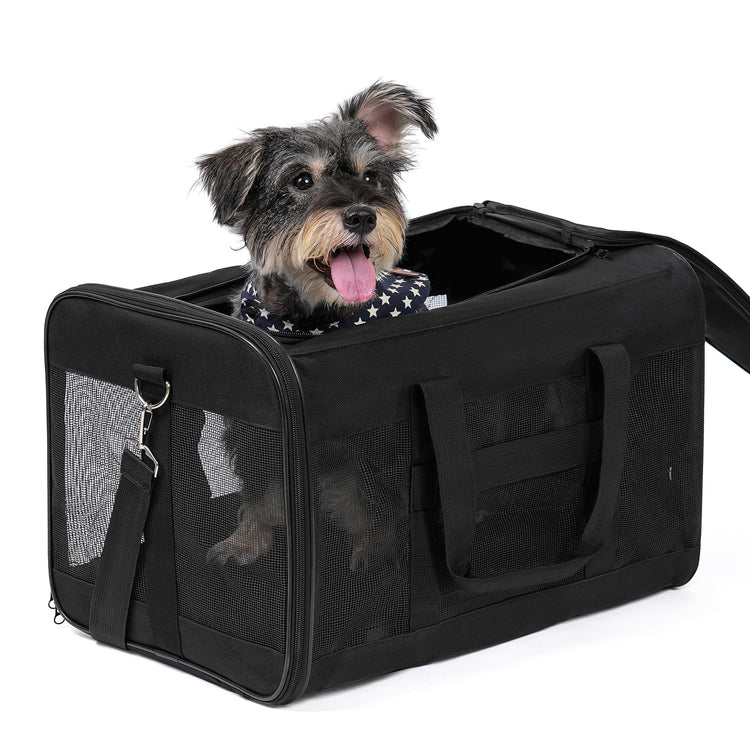Conlun Cat Carrier Airline Approved, Soft-Sided Dog Carrier with Inner Safety Leash, Pet Transport Carrier for Small-Medium Cats Puppies up to 15 Lbs, Collapsible Travel Kitten Carrier Bag -BlackM