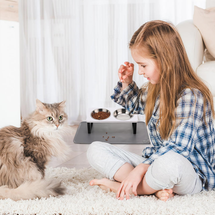 Upgraded Elevated Cat Bowls with Food Mat,15°Tilted Stand Anti Vomiting Raised Cat Dishes for Food and Water,2 Stainless Steel Bowls for Cats and Puppy