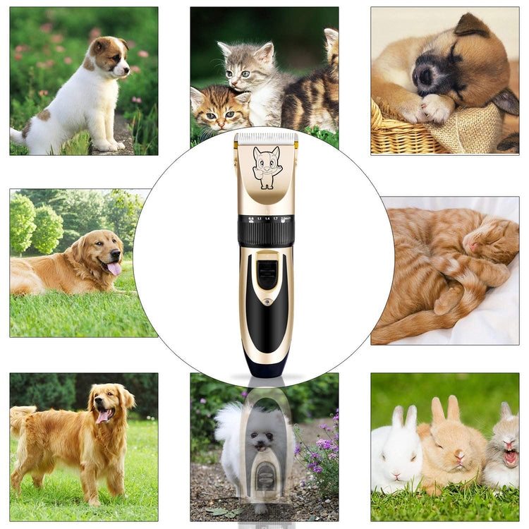 Highdas Dog Clippers for Grooming Low Noise, Cordless Electric Dog Grooming Kit Clippers Rechargeable, Quiet Dog Shaver, Pet Hair Trimmer Kit for Dogs & Cats (Gold)