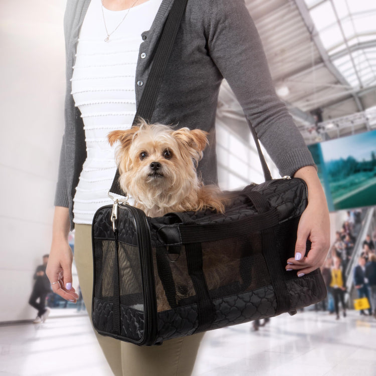 Sherpa Original Deluxe Travel Pet Carrier, Airline Approved & Guaranteed On Board - Charcoal Gray, Medium