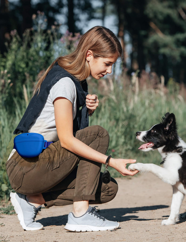 heouvo Dog Treat Pouch with Training Clicker, Upgrade Stronger Magnetic Closure to Avoid Spilling, 1.67 Cup Silicone Treat Bag Fanny Pack with Waist Belt for Pet Training Walking (Black)